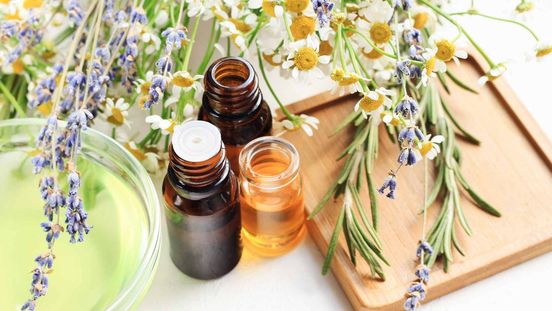 Honey: A Brief Journey Through Time