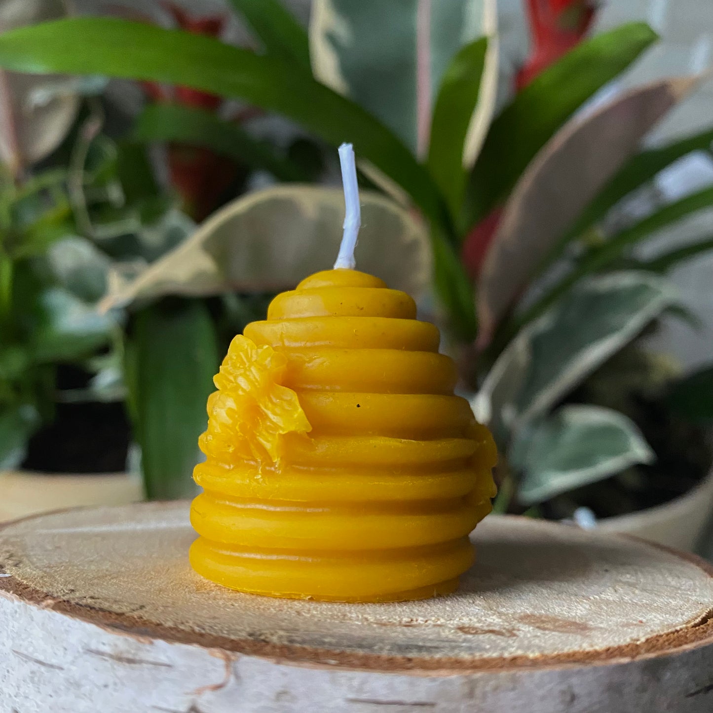 Beeswax Candles