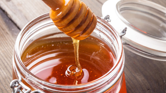 honey dipper dipping in honey