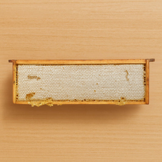 Honeycomb frame on a wooden background