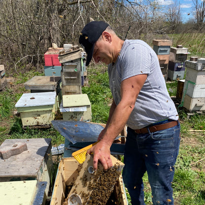 Professional Beekeeping Consultation (30 min.)