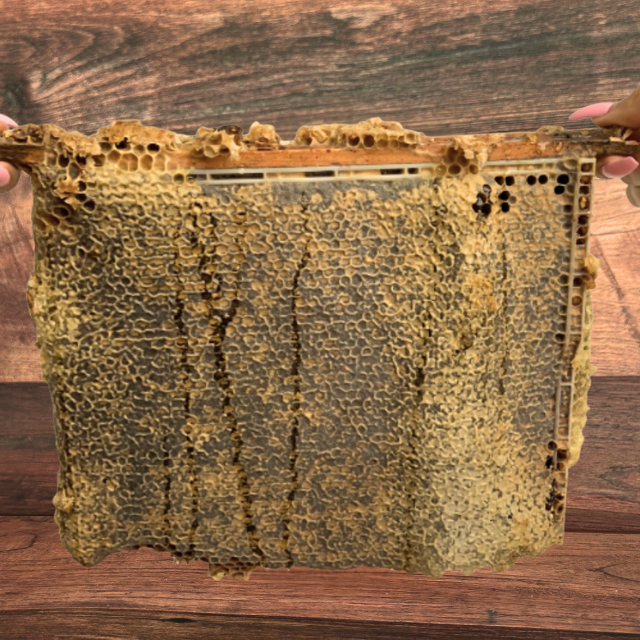 Honeycomb Frame