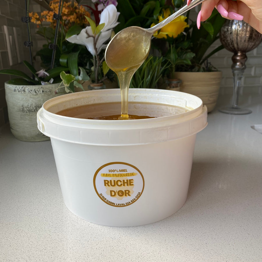 Raw Honey 5 kg (liquid)