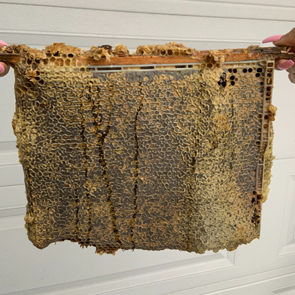 Honeycomb Frame 2.2 kg